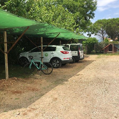 Agriturismo Il Podere Vedelago Con San Bernardo, Alpaca E Una Pentola Di Cose Da Scoprire Extérieur photo