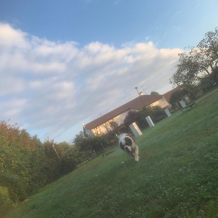 Agriturismo Il Podere Vedelago Con San Bernardo, Alpaca E Una Pentola Di Cose Da Scoprire Extérieur photo