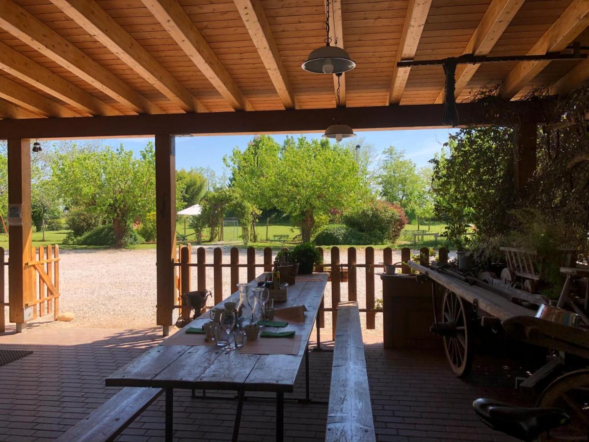 Agriturismo Il Podere Vedelago Con San Bernardo, Alpaca E Una Pentola Di Cose Da Scoprire Extérieur photo
