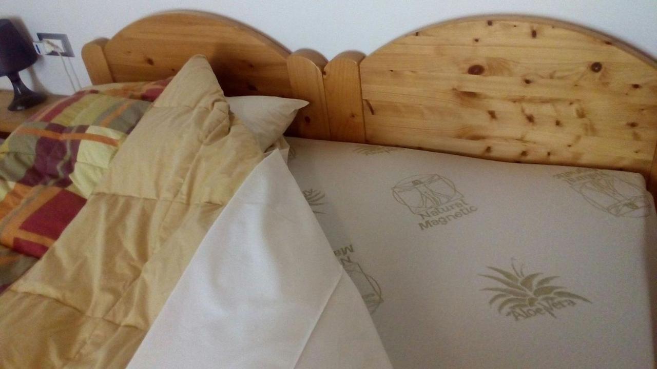Agriturismo Il Podere Vedelago Con San Bernardo, Alpaca E Una Pentola Di Cose Da Scoprire Extérieur photo