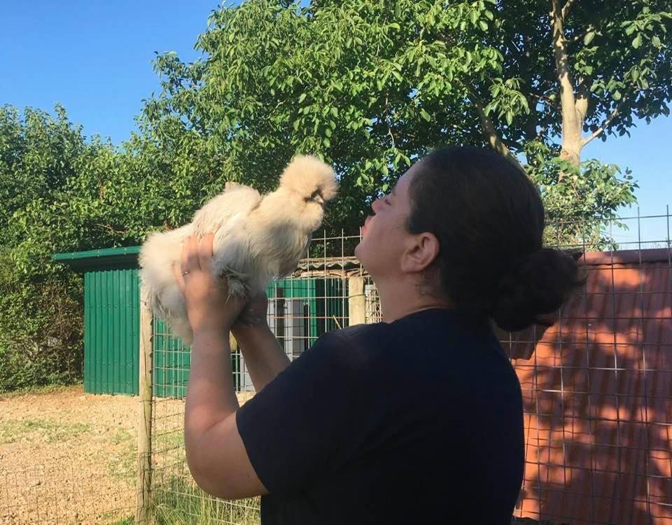 Agriturismo Il Podere Vedelago Con San Bernardo, Alpaca E Una Pentola Di Cose Da Scoprire Extérieur photo