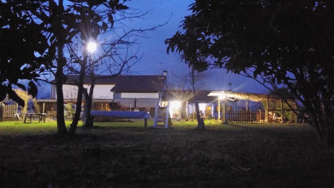 Agriturismo Il Podere Vedelago Con San Bernardo, Alpaca E Una Pentola Di Cose Da Scoprire Extérieur photo