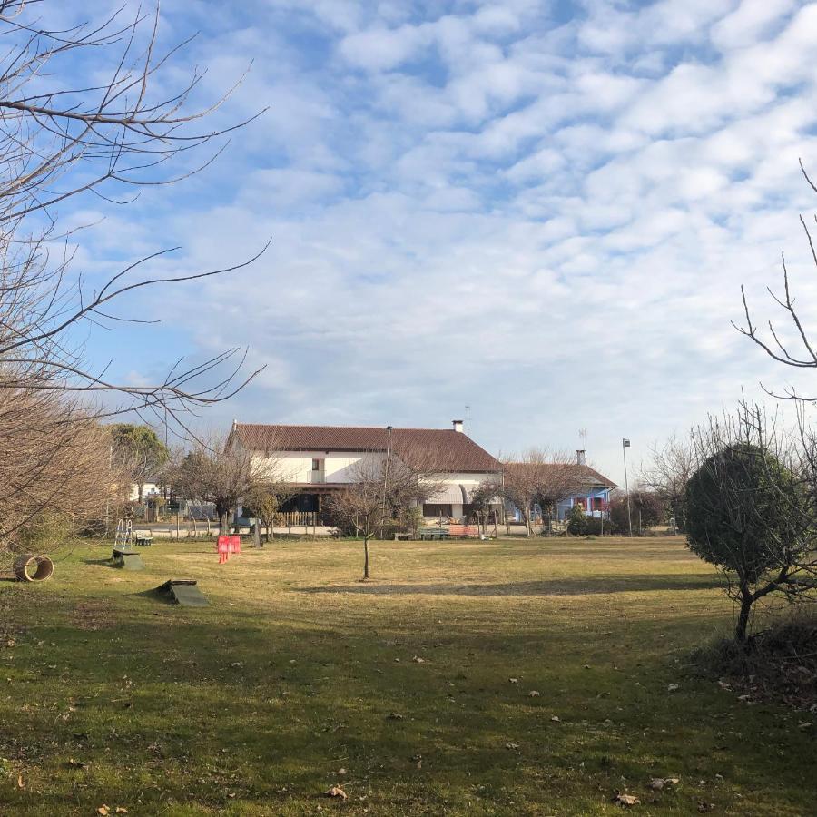 Agriturismo Il Podere Vedelago Con San Bernardo, Alpaca E Una Pentola Di Cose Da Scoprire Extérieur photo