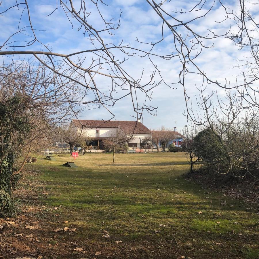 Agriturismo Il Podere Vedelago Con San Bernardo, Alpaca E Una Pentola Di Cose Da Scoprire Extérieur photo