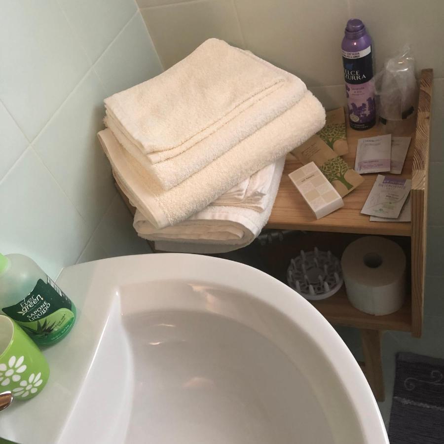 Agriturismo Il Podere Vedelago Con San Bernardo, Alpaca E Una Pentola Di Cose Da Scoprire Extérieur photo
