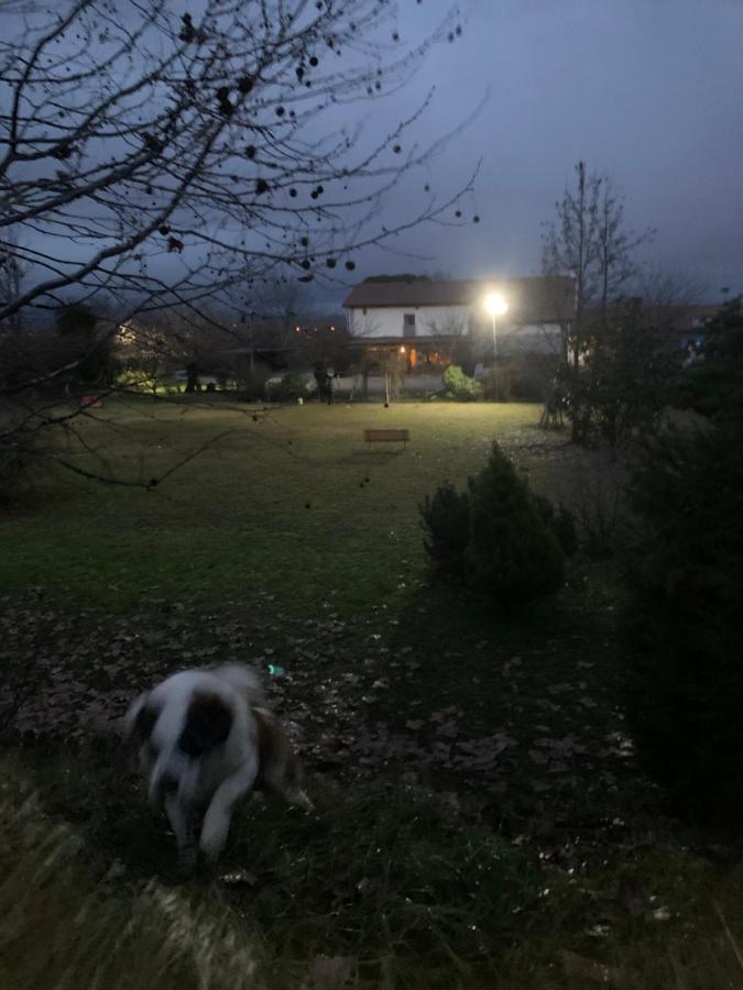 Agriturismo Il Podere Vedelago Con San Bernardo, Alpaca E Una Pentola Di Cose Da Scoprire Extérieur photo