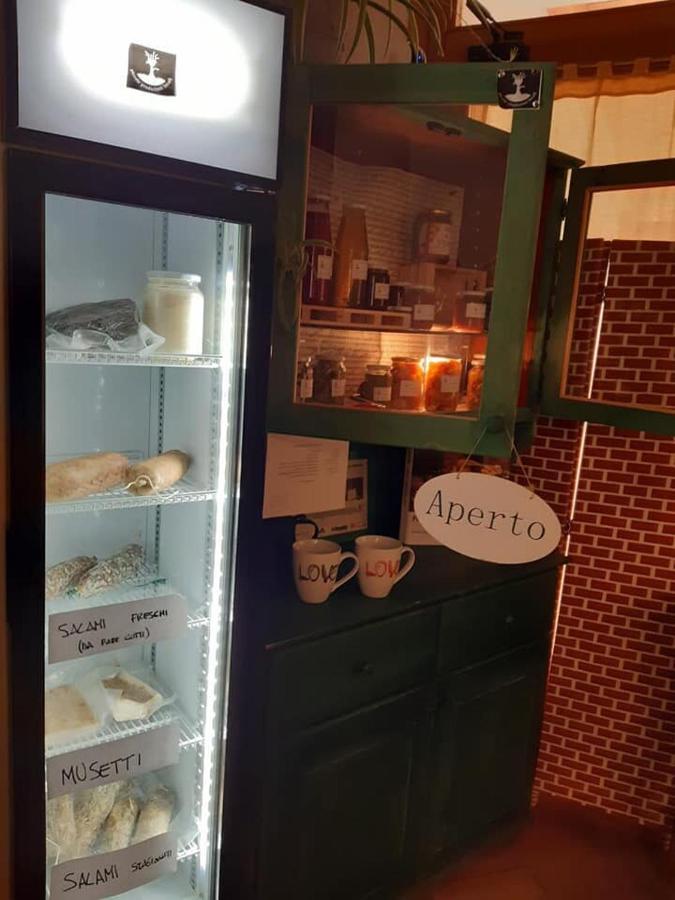 Agriturismo Il Podere Vedelago Con San Bernardo, Alpaca E Una Pentola Di Cose Da Scoprire Extérieur photo