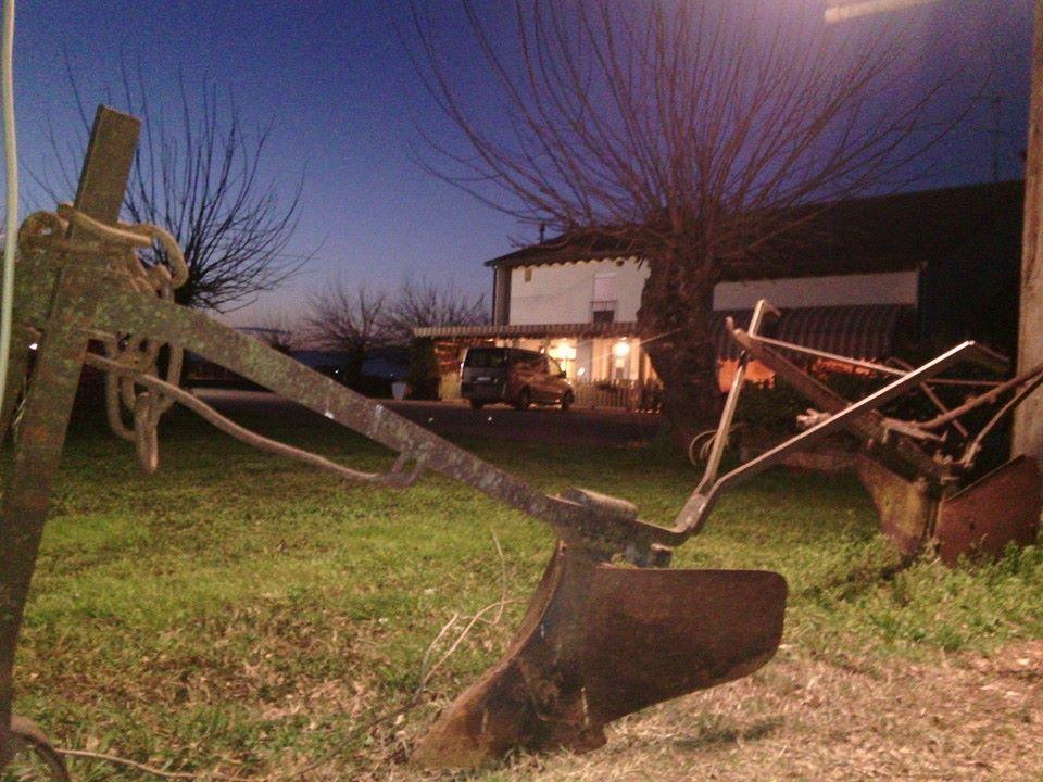 Agriturismo Il Podere Vedelago Con San Bernardo, Alpaca E Una Pentola Di Cose Da Scoprire Extérieur photo
