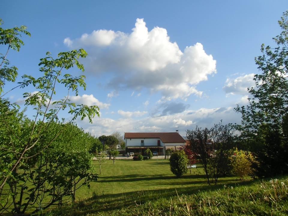 Agriturismo Il Podere Vedelago Con San Bernardo, Alpaca E Una Pentola Di Cose Da Scoprire Extérieur photo